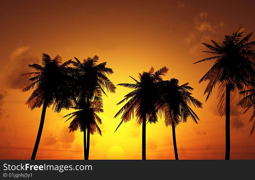 Beautiful sunset with palms. 3d image