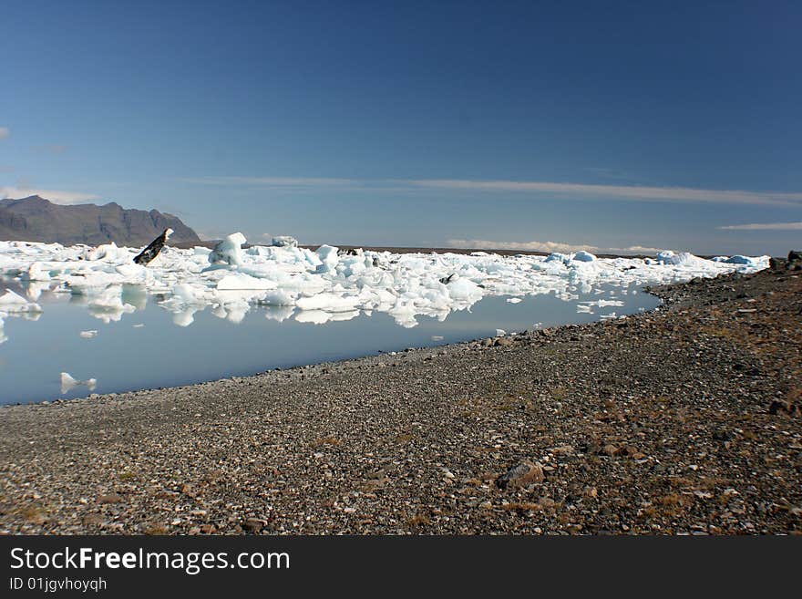 Icebergs Beach