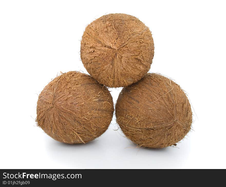 Coconuts on a white background.