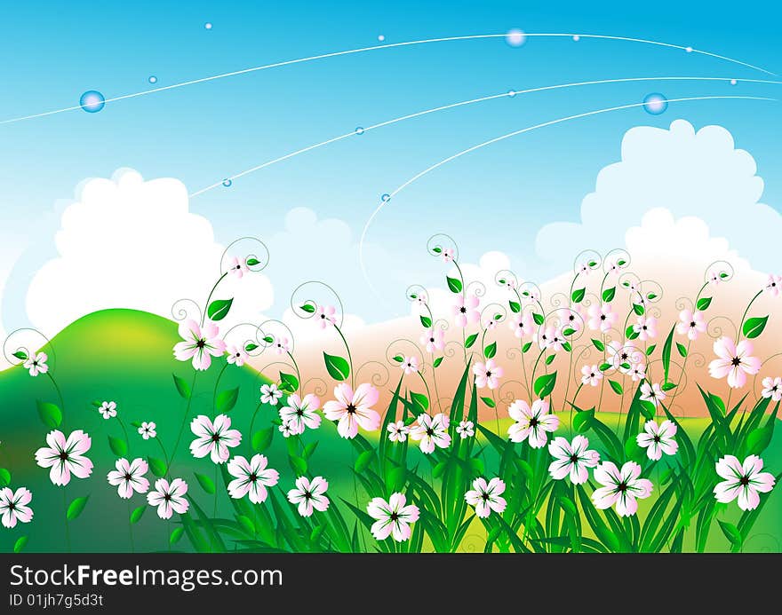 summer bright landscape with white flowers