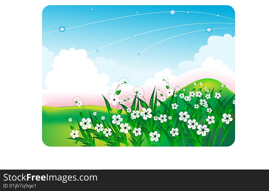 summer bright landscape with white flowers