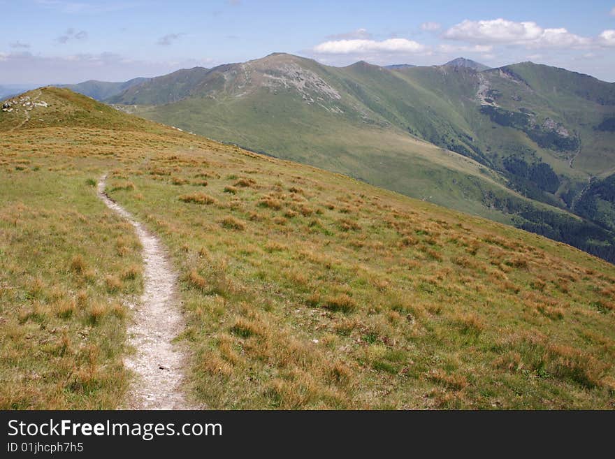 Carpathian Mountains in Romania:  trail to Pietrosul Peak in Rodney Mts. Carpathian Mountains in Romania:  trail to Pietrosul Peak in Rodney Mts