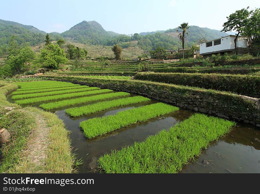 Beautiful village landscape in south of china