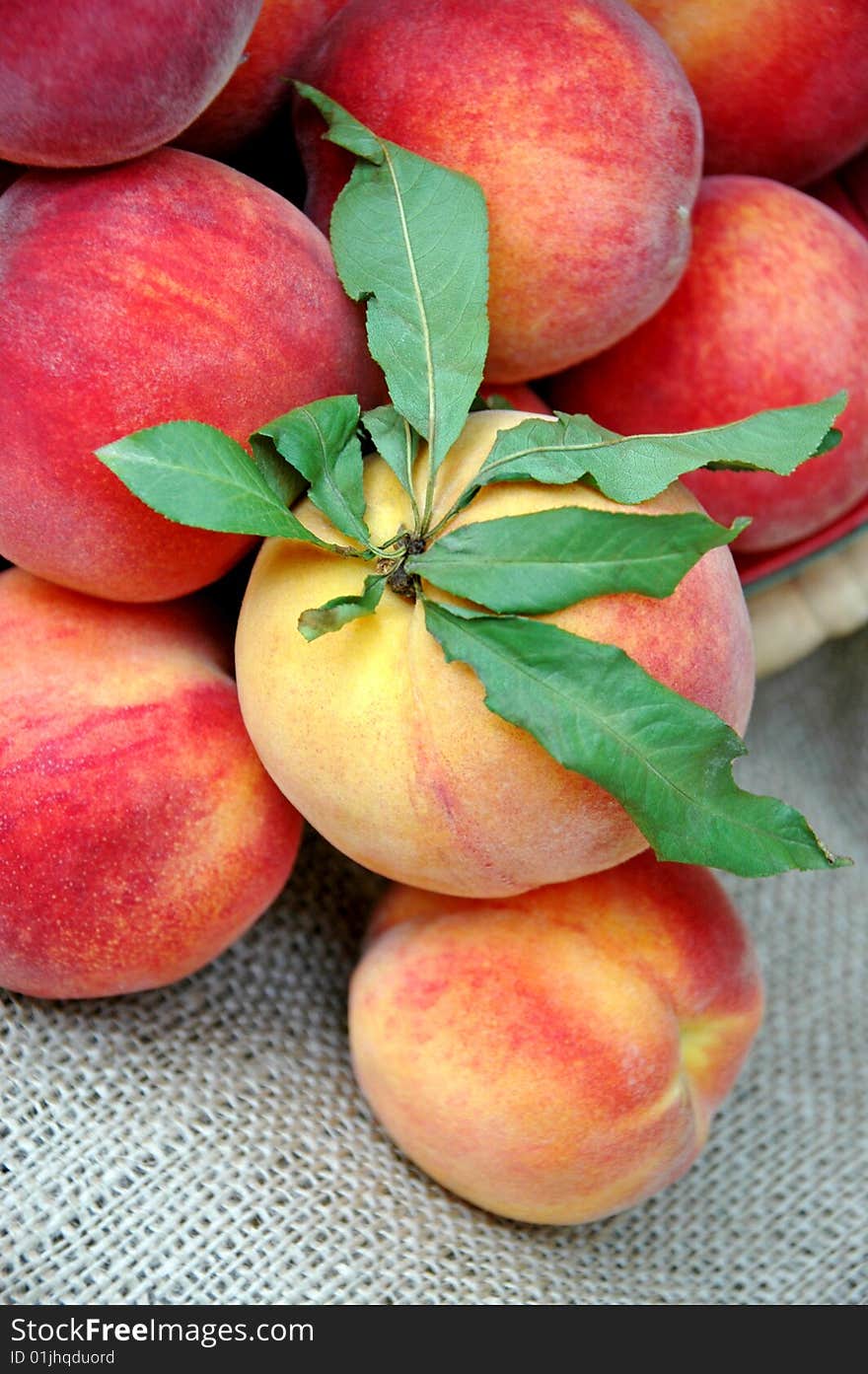 A closeup of delicious ripe peaches with copy space. A closeup of delicious ripe peaches with copy space