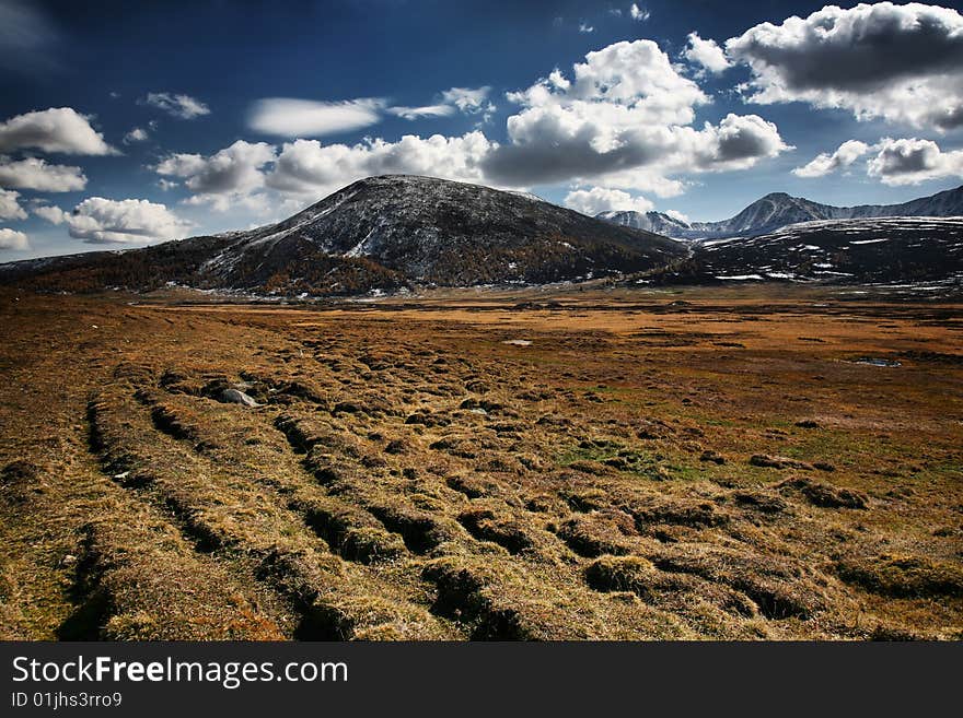 Pasture land with snow mountains