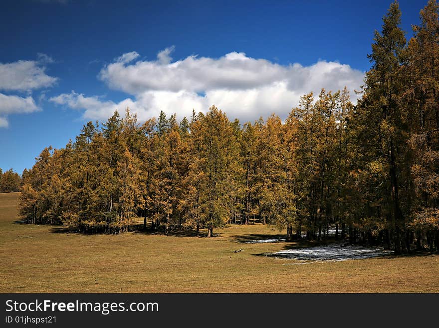 Pasture and clouds