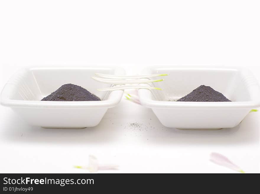 Two white bowls with clay for  face. Two white bowls with clay for  face