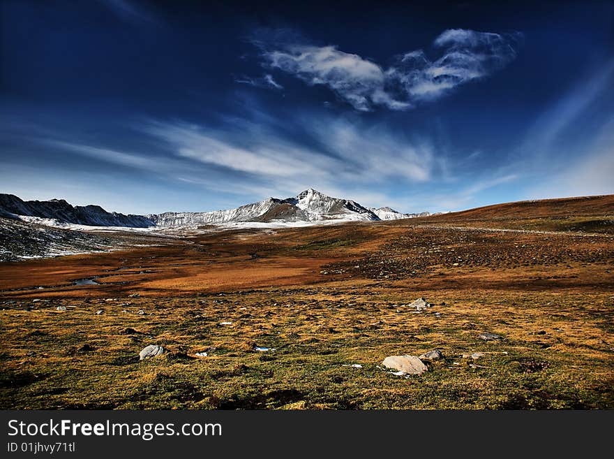 Pasture Land With Snow Mountains