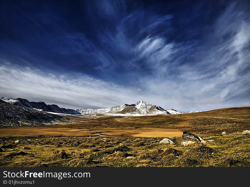 Pasture land with snow mountains