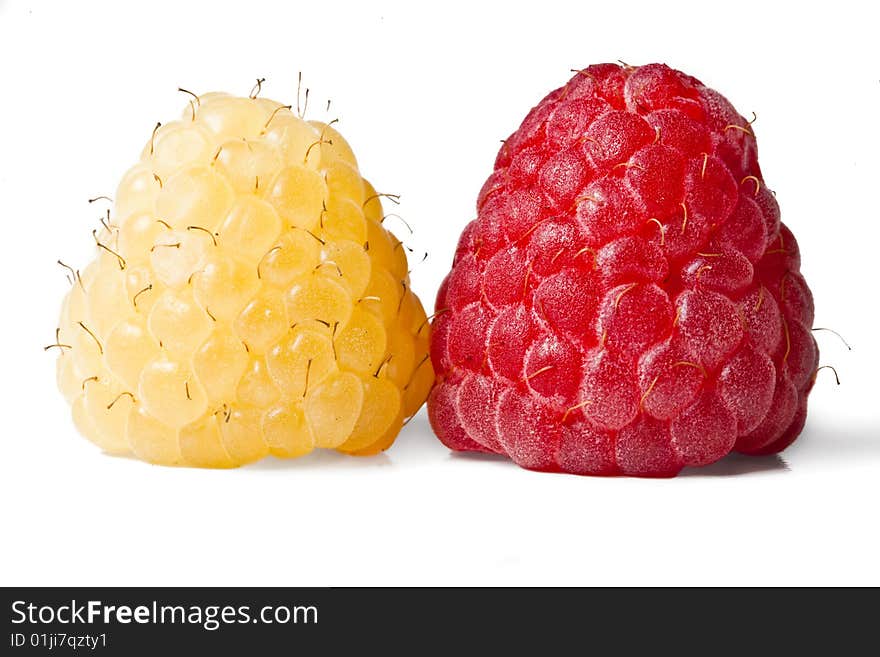 Red and gold raspberries isolated on white background. Red and gold raspberries isolated on white background