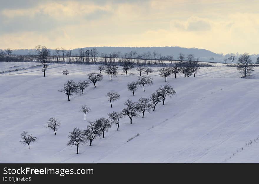 Romanian Countryside In Winter