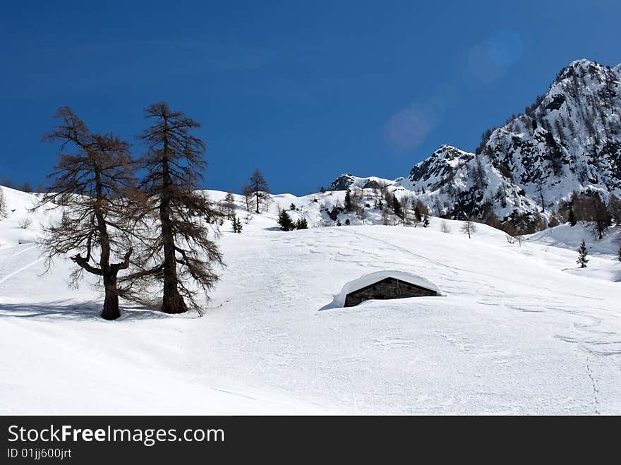 A close up of a white landscape in the Alps after a snowfall. A close up of a white landscape in the Alps after a snowfall