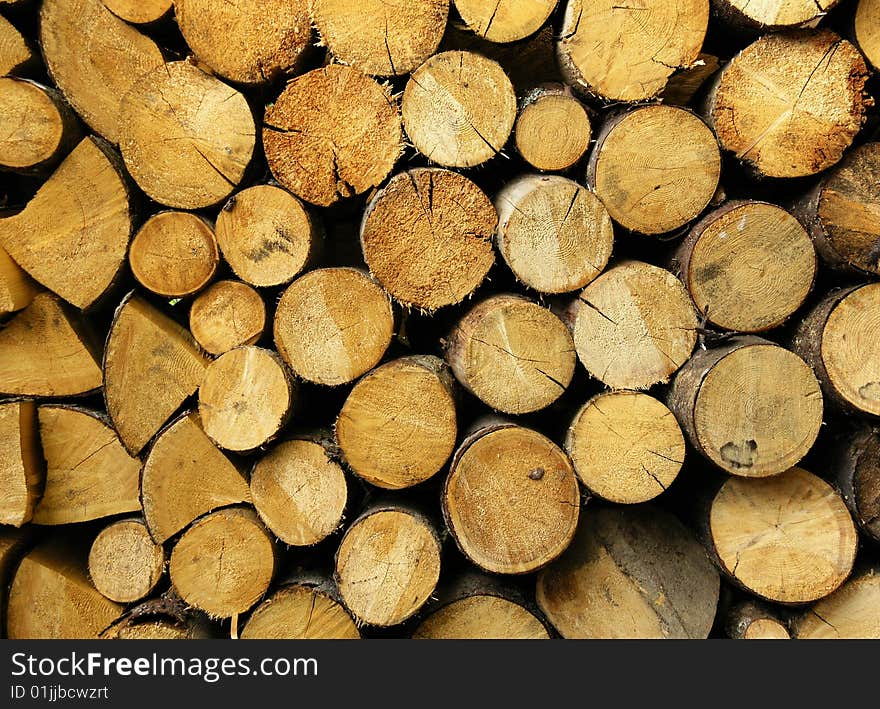 Close-up side view of wet sawn pine logs. Close-up side view of wet sawn pine logs