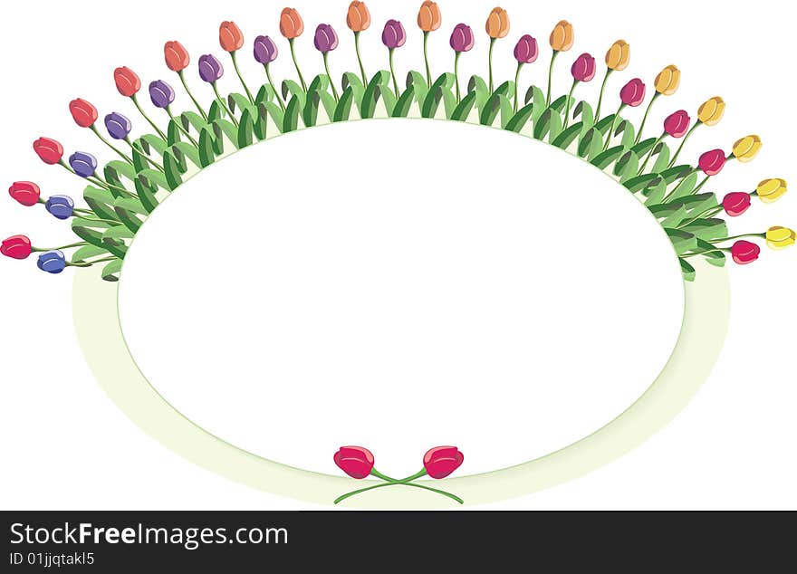 Tulips line an oval with space for a message. Vector Illustration. Tulips line an oval with space for a message. Vector Illustration.