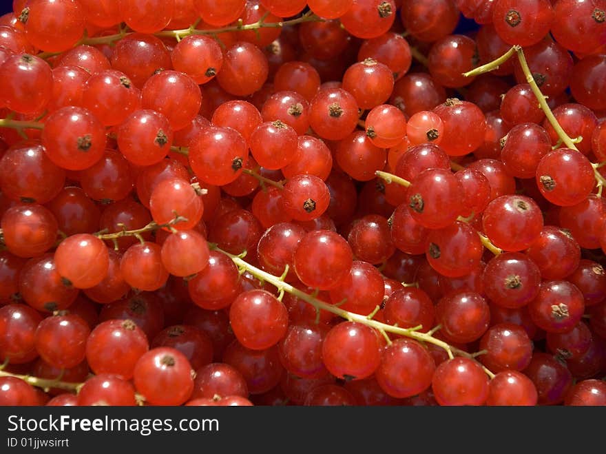 Some fresh currants in the sun