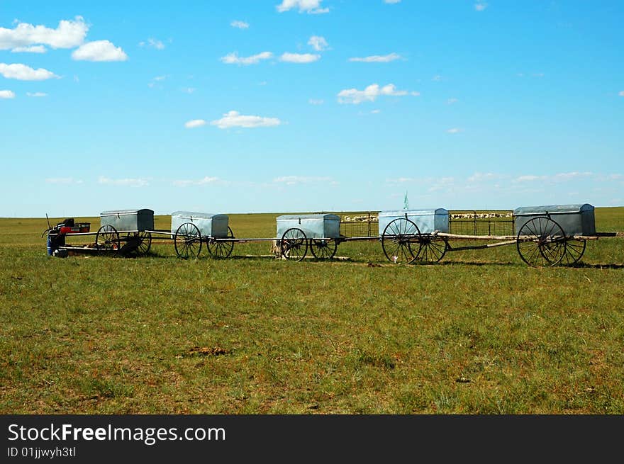 Beautiful blue sky and white clouds of cattle and sheep on the grasslands. Beautiful blue sky and white clouds of cattle and sheep on the grasslands