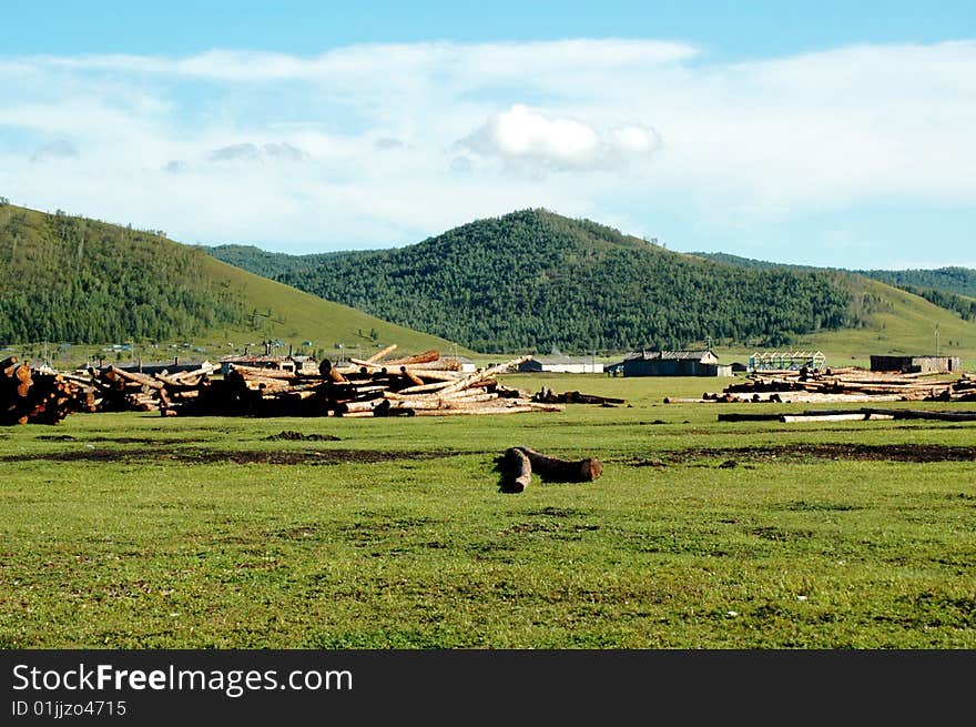 Beautiful blue sky and white clouds of cattle and sheep on the grasslands. Beautiful blue sky and white clouds of cattle and sheep on the grasslands