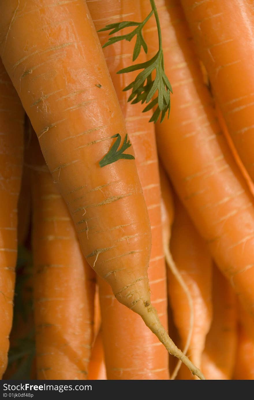 Some fresh carrots in the sun