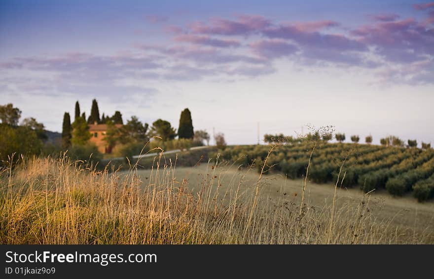 Tuscan Landscape