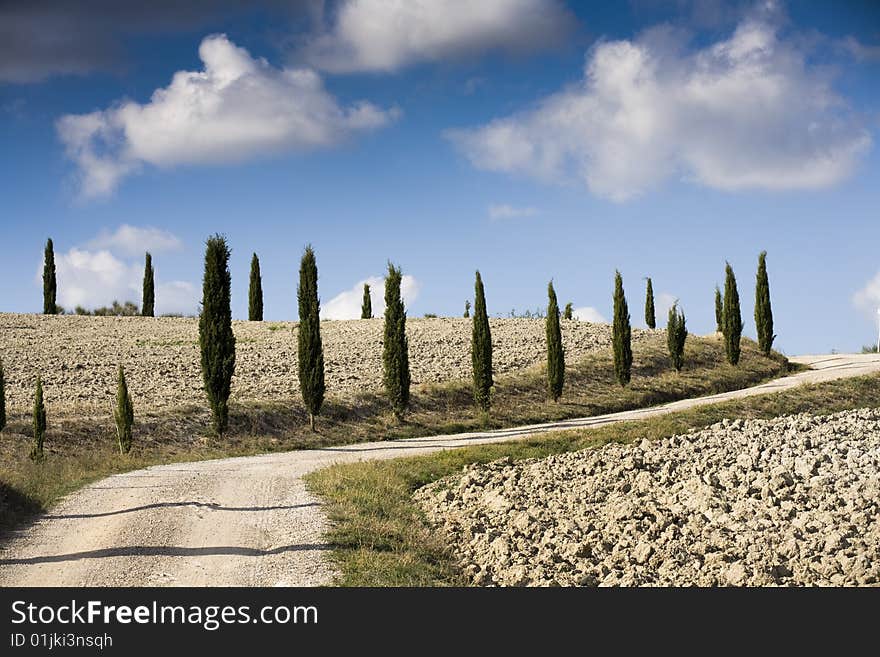 Tuscan Landscape