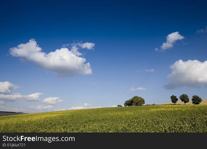 Tuscan Landscape