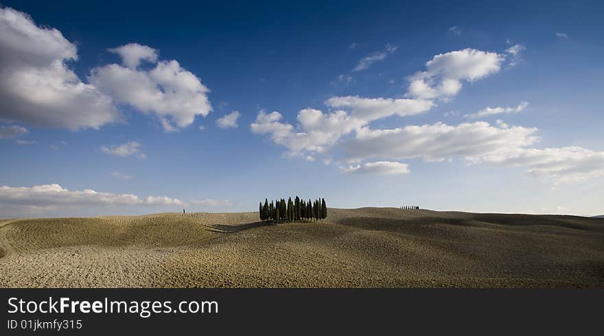 Tuscan Landscape