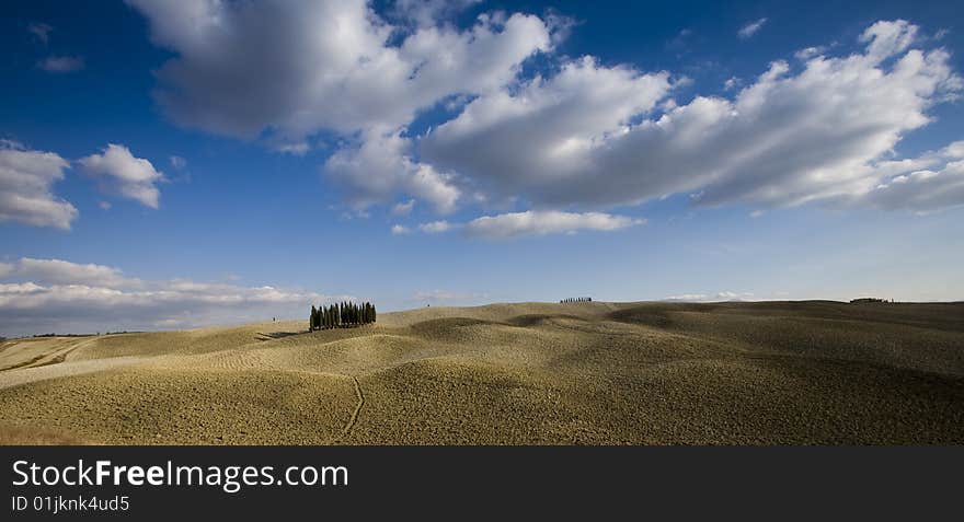 Tuscan Landscape