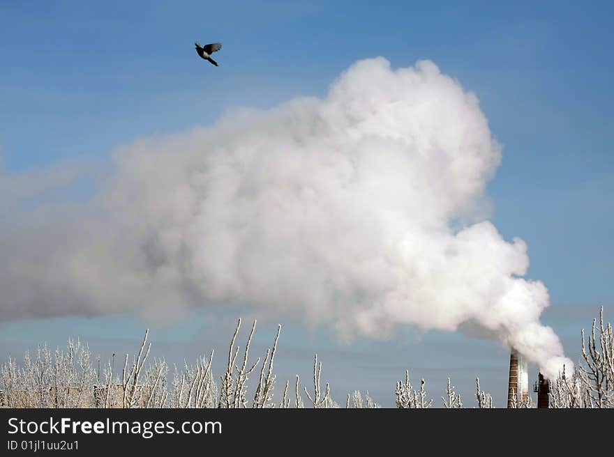 Smokestack Pollution with blue sky in the background and one bird. Smokestack Pollution with blue sky in the background and one bird