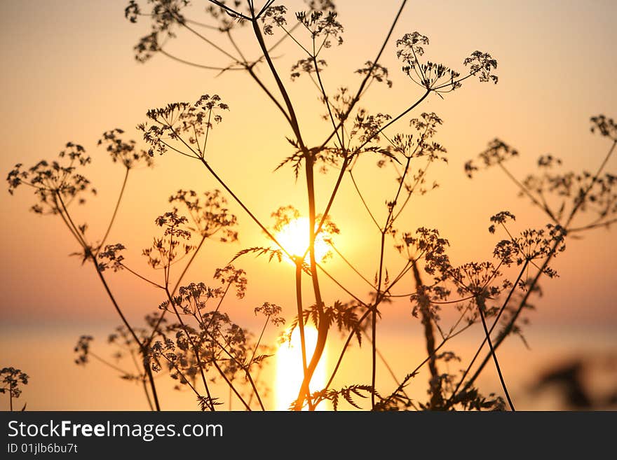 Landscape with sunset and sea