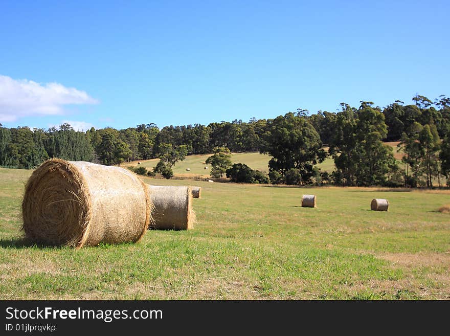 Farm paddock with hay bales