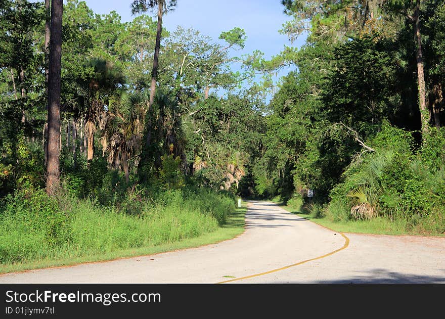 Nice scenic drive through a Florida park near Tampa.