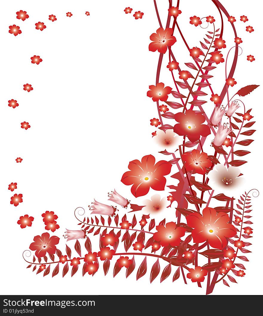 Delicate red flowers on white background