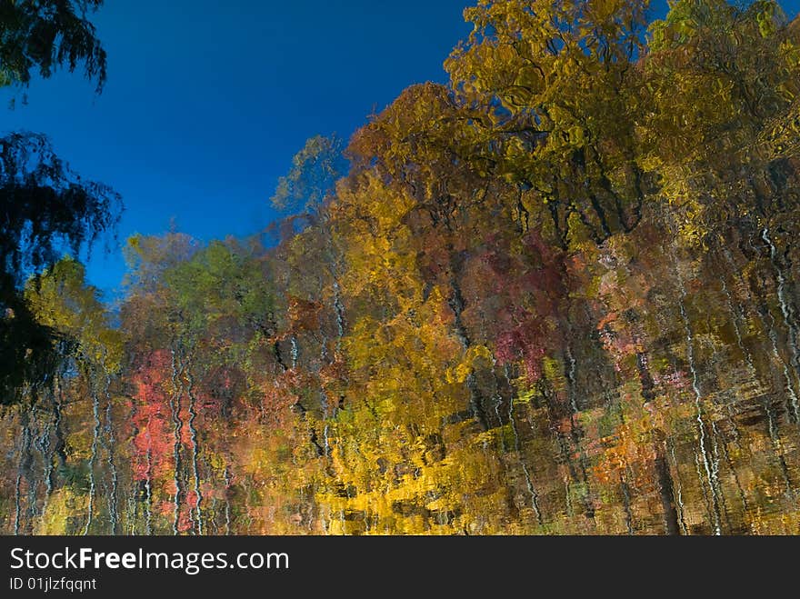 Colorful abstract tree reflection in water