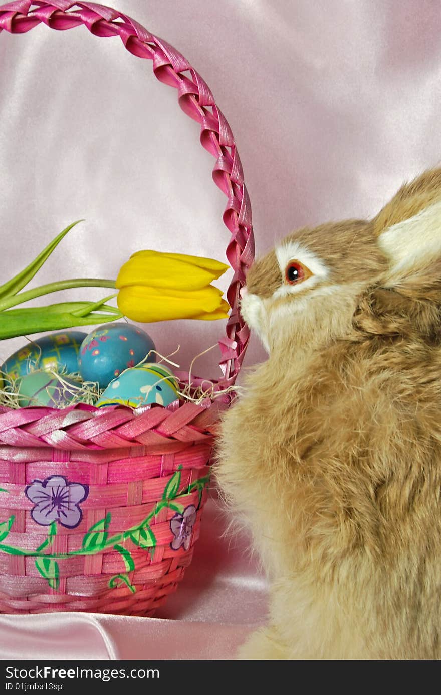 Easter bunny sniffing a yellow tulip in basket. Easter bunny sniffing a yellow tulip in basket.