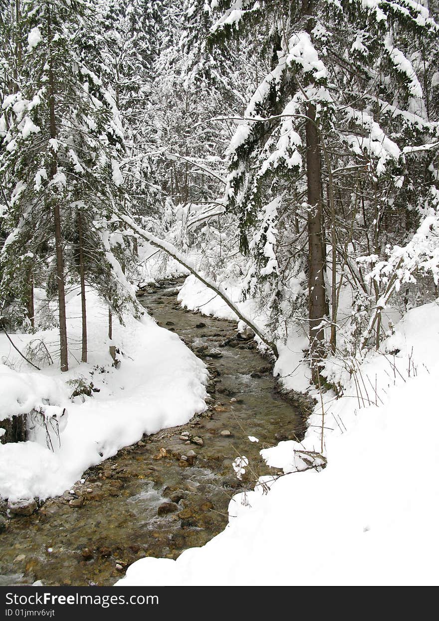 Winter idyllic scene with the stream flowing through a snowbound forest. Slovenia.