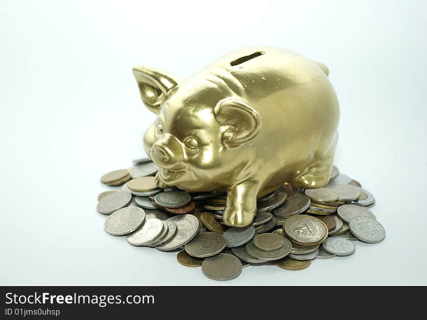 Piggy bank  isolated on white background with coins