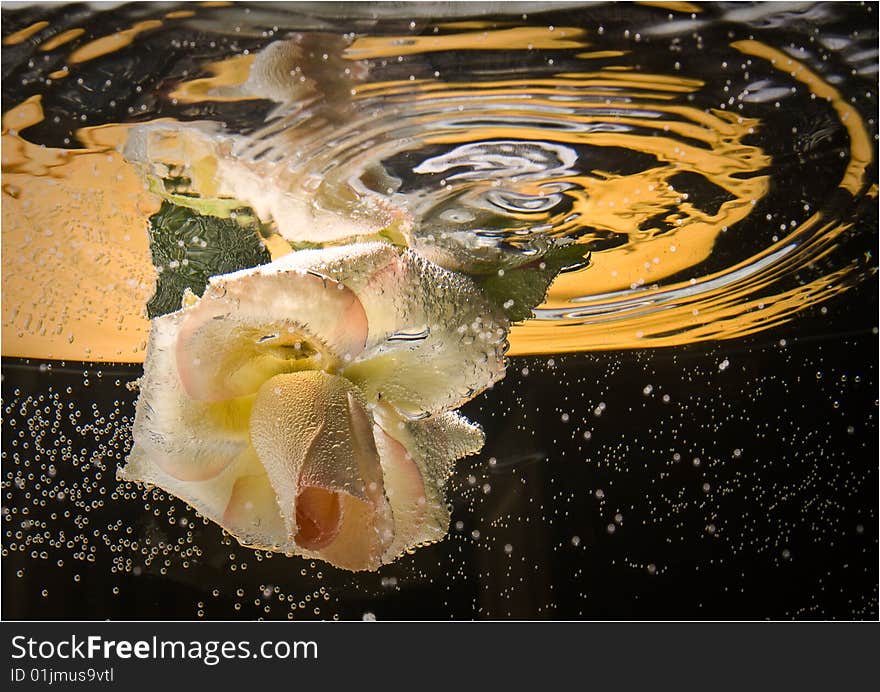 Background with a white rose crystal splashing in water. Background with a white rose crystal splashing in water