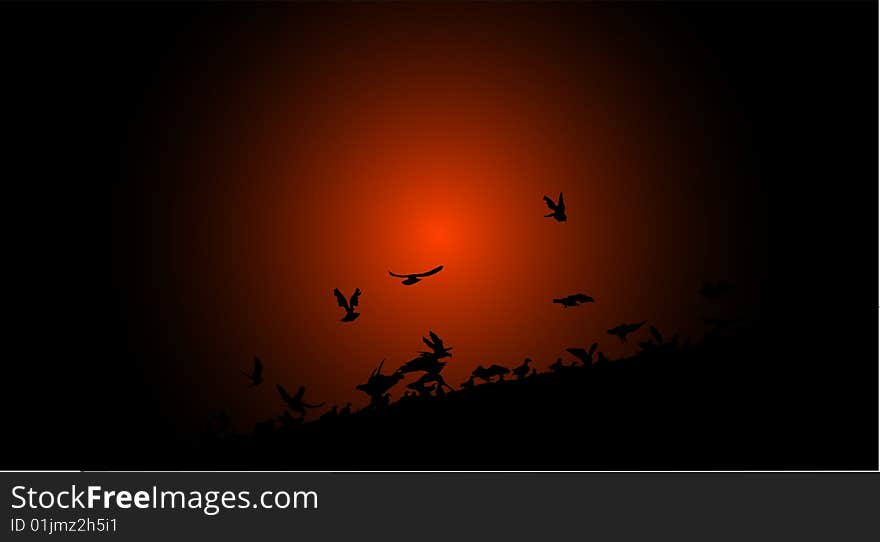 Flock Of Birds In The Sunset