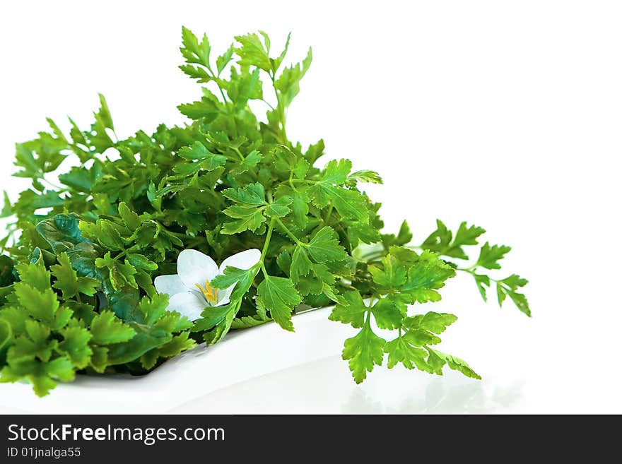 A picture of parsley on white background