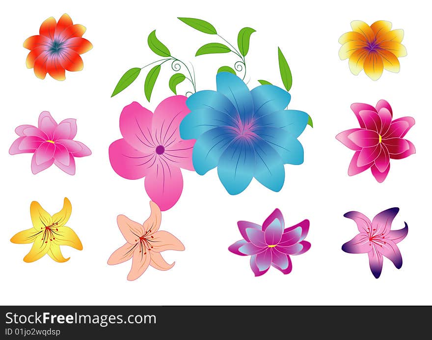 Vector illustration with ten flowers