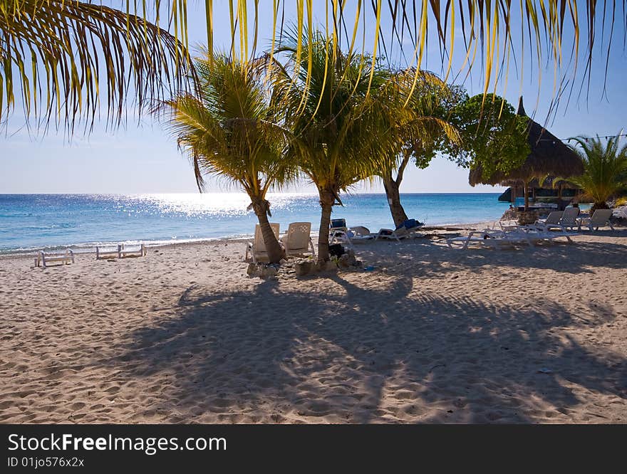 Nice Beach Scene With Palm Trees