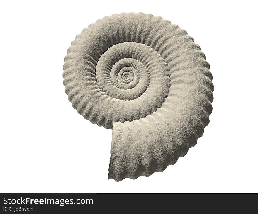 Ammonite