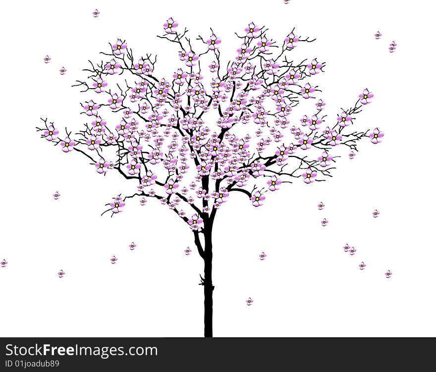 A tree for spring season