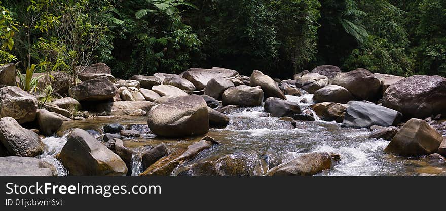 Stony river in the forest