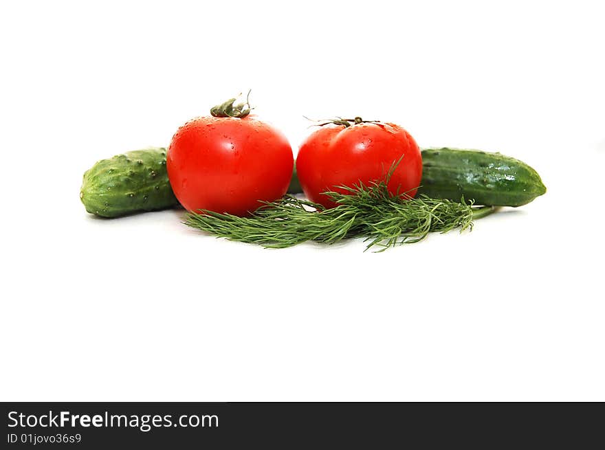 Tomatoes And Fennel On A White Background