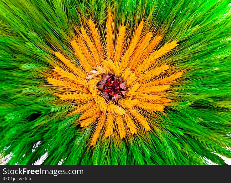 Easter colorful palm. Dried cereal. Looks like flower. Easter colorful palm. Dried cereal. Looks like flower.