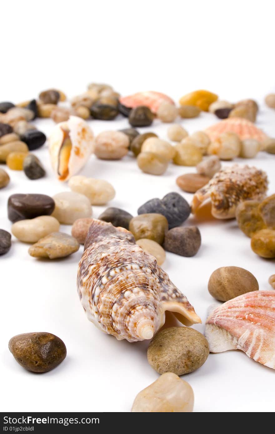 Sea shells and pebble beach collection