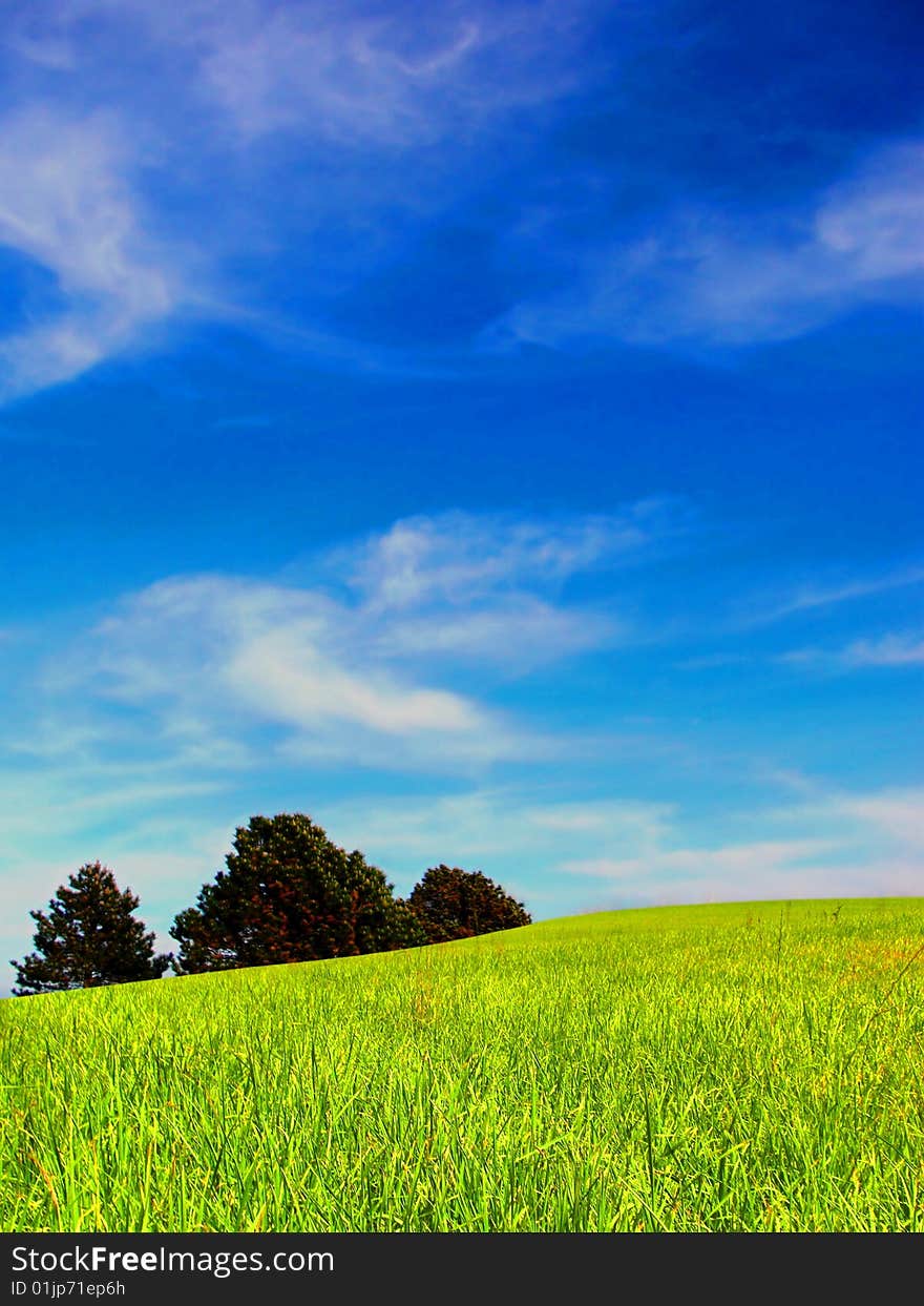 Green lawn and blue sky. Green lawn and blue sky