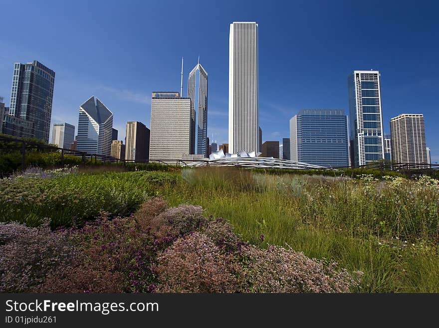 Prairie In The Middle Of Downtown