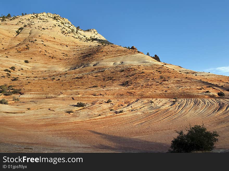 Zion High Country Sandstone